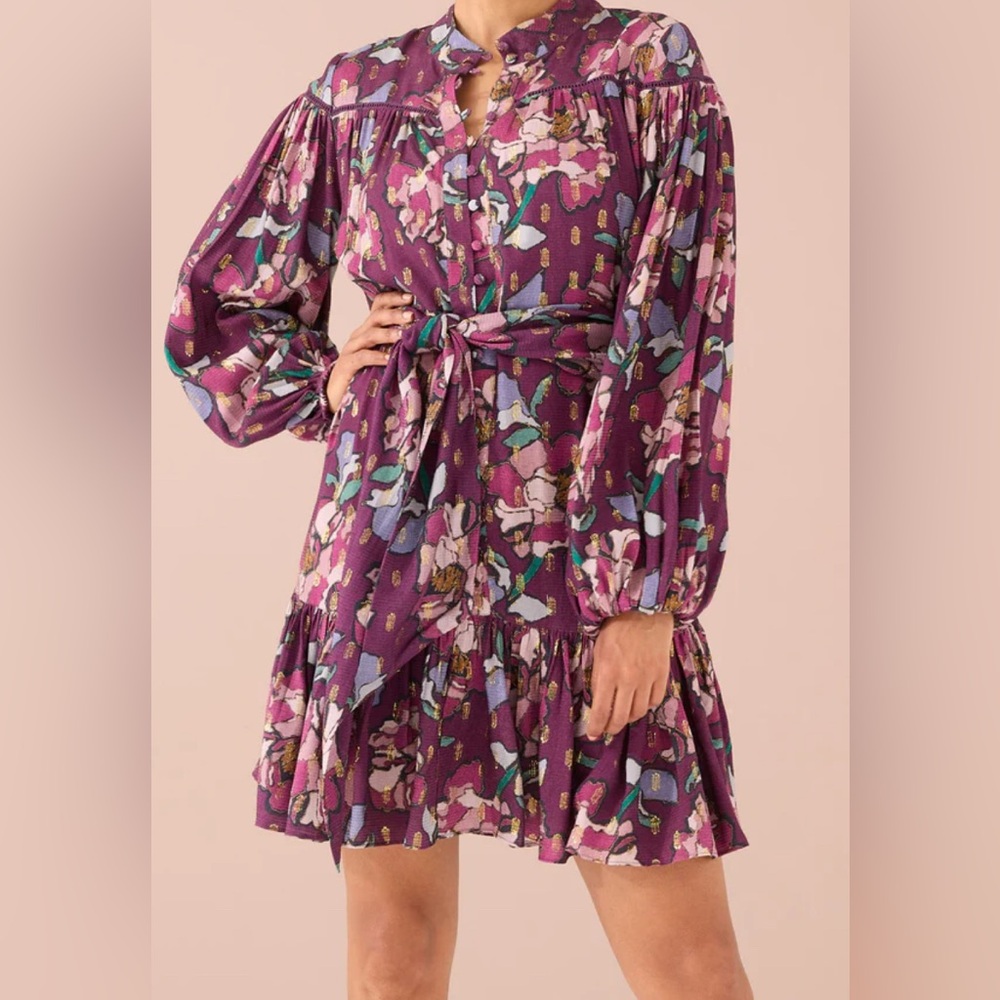 Alivia Jessica Dress, floral Stained glass design mini belt woman’s dress